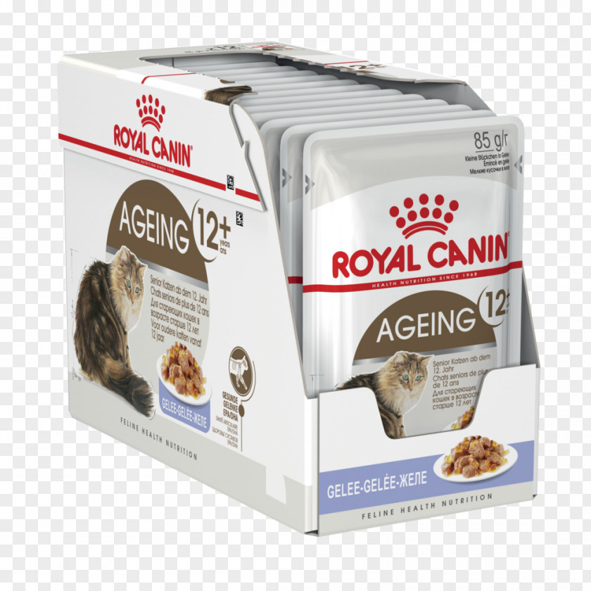 Royal Jelly Cat Food Kitten Persian Science Diet PNG