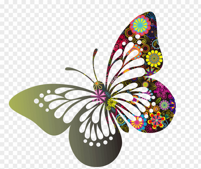 Colorful Butterfly Black And White Clip Art PNG