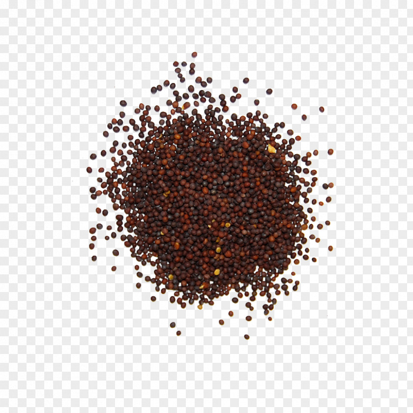 Spice Mustard Seed Brassica Juncea PNG