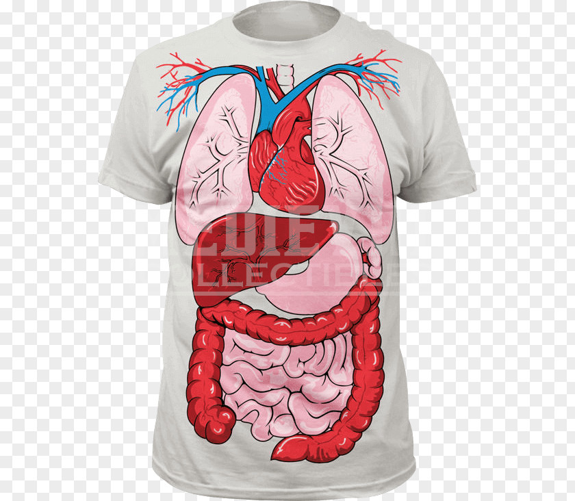 T-shirt Human Anatomy Body PNG