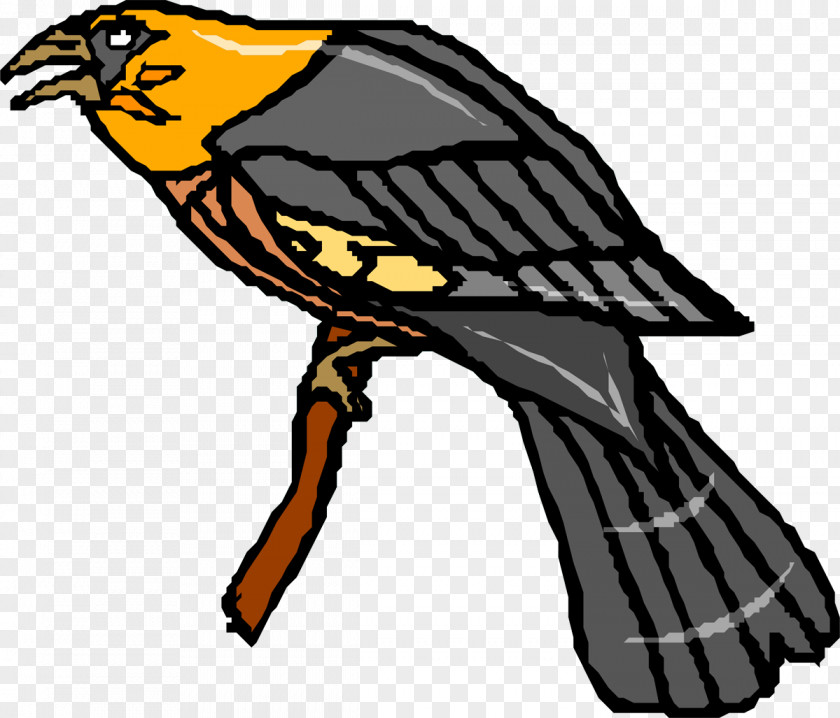 Vulture Beak Feather Clip Art PNG