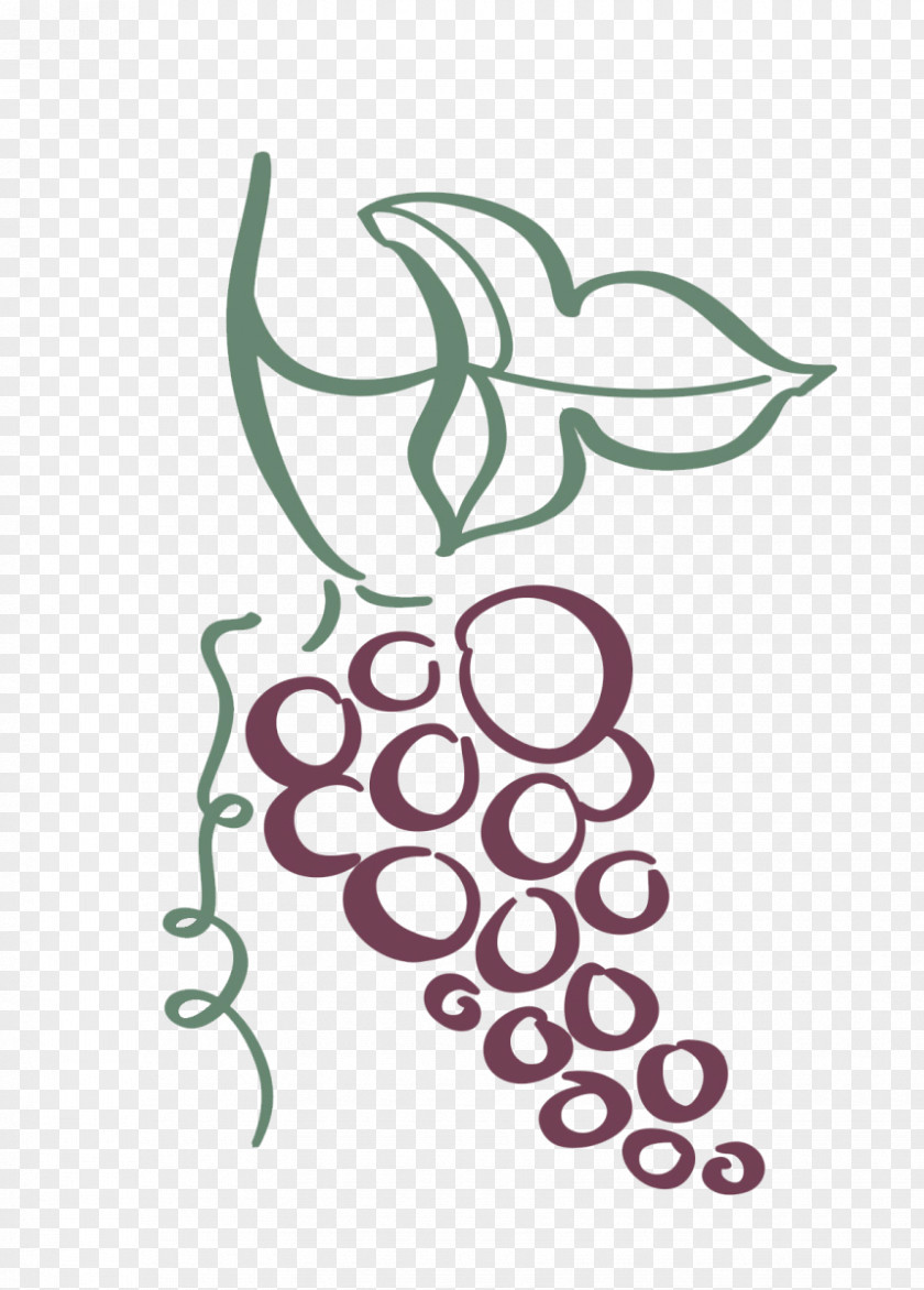 Wine List Clubs Common Grape Vine PNG