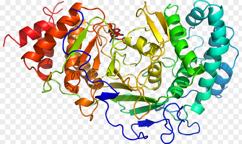 Art Adenosine Diphosphate Ribose Organism Clip PNG