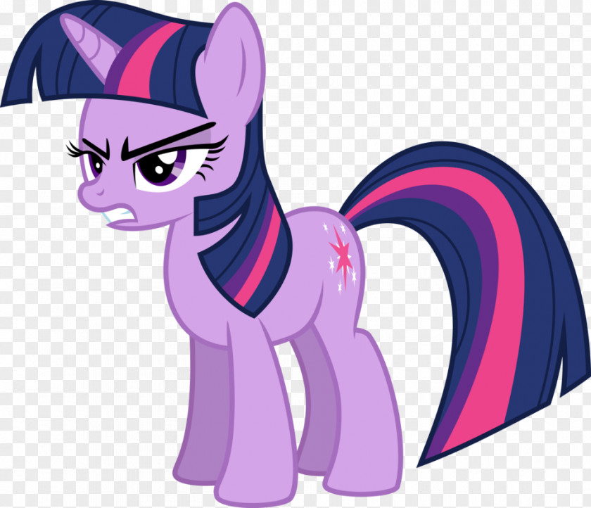 My Little Pony Twilight Sparkle Rarity Pinkie Pie Rainbow Dash PNG