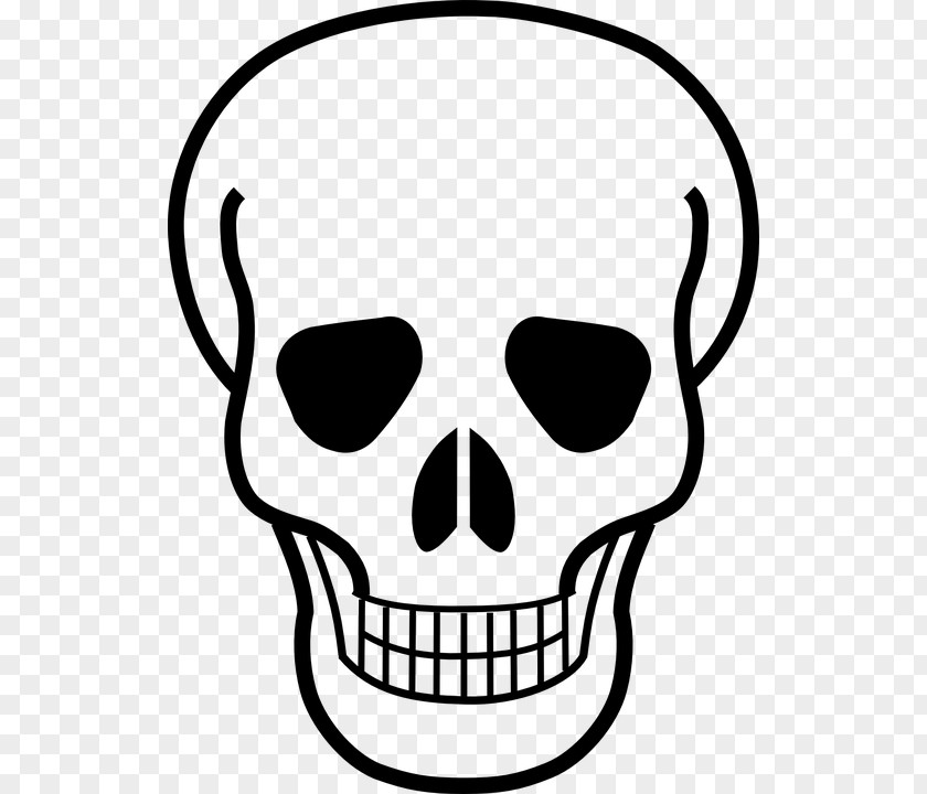 Skull And Bones Crossbones PNG