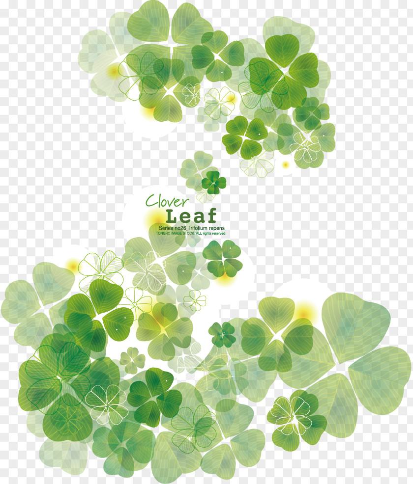 Clover Vector Four-leaf PNG