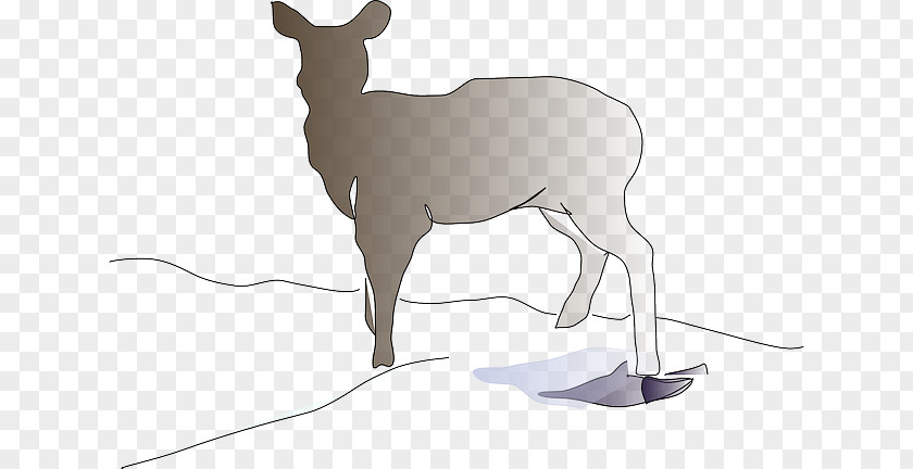Elk Herd White-tailed Deer Mammal Clip Art Reindeer PNG