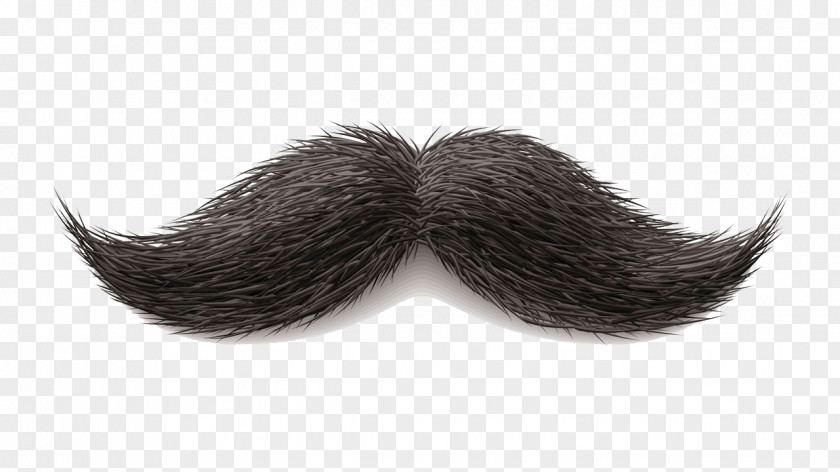 Moustache Image World Beard And Championships Clip Art PNG
