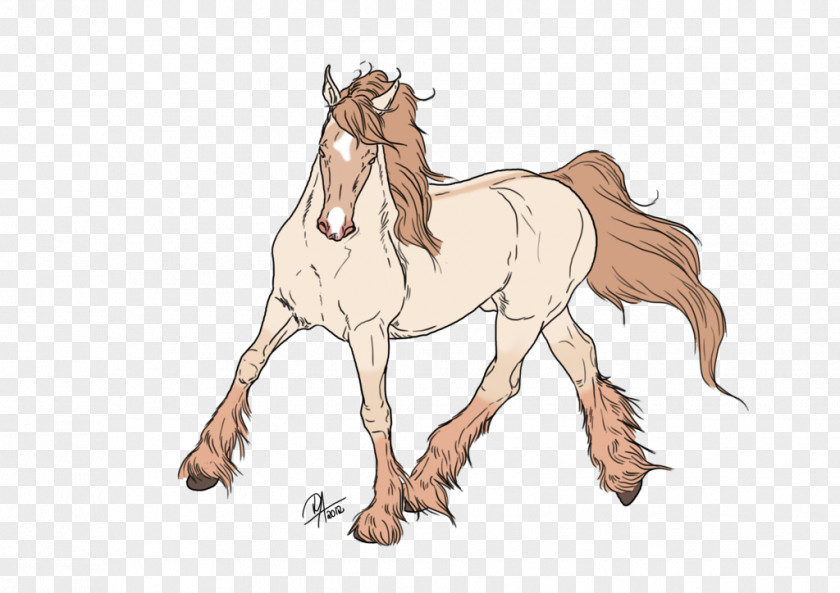Mustang Foal Mane Pony Colt Stallion PNG