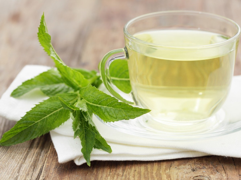 Pepermint Peppermint Tea Coffee Herbal PNG