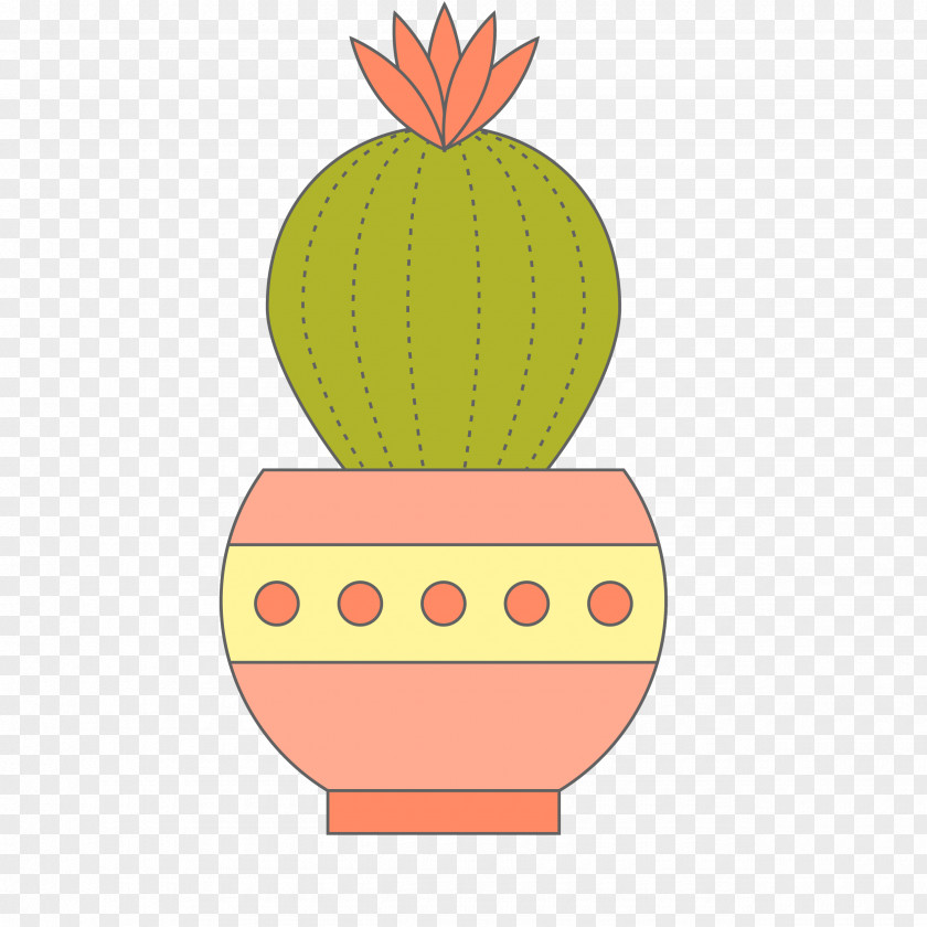 Cactus Vector Plant Cactaceae Euclidean PNG