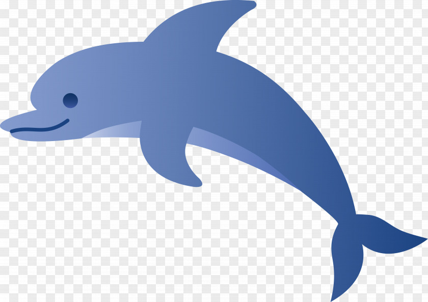 Cartoon Dolphin Free Content Royalty-free Clip Art PNG