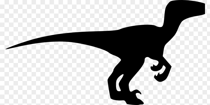 Dinosaur Velociraptor Drawing Silhouette Clip Art PNG