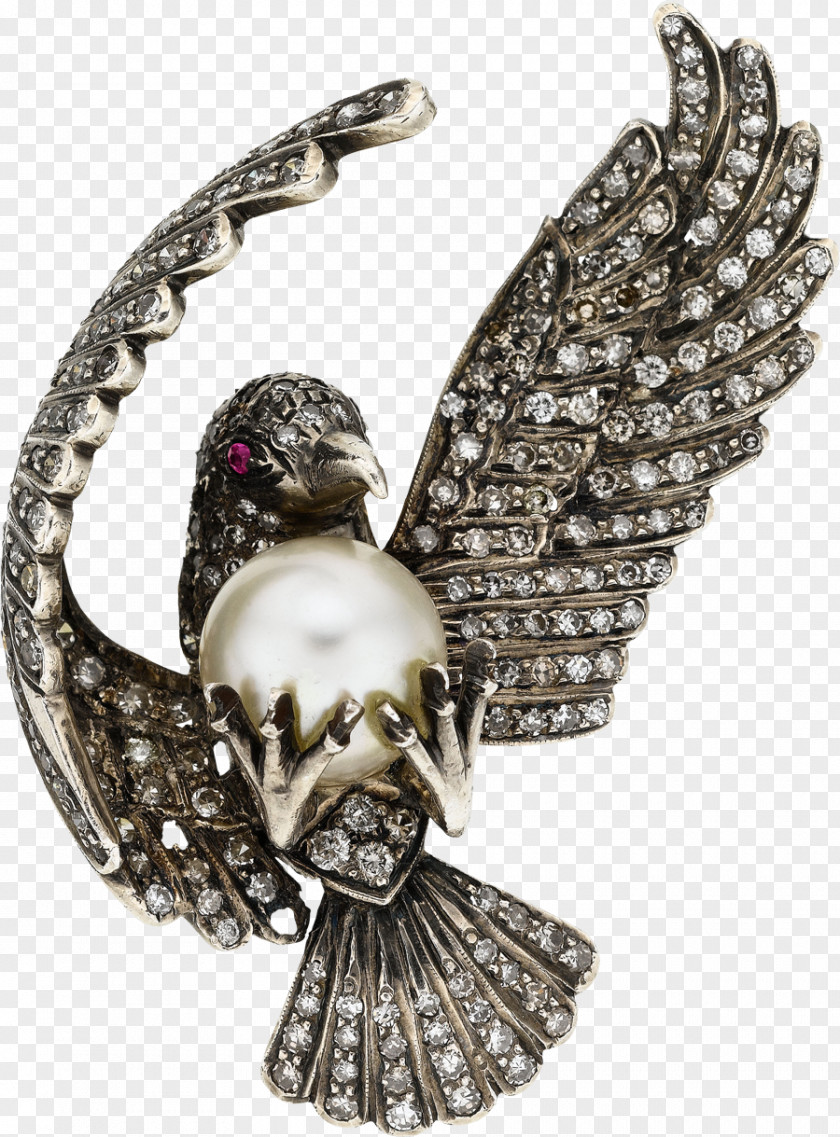 Hand Drawn Sparrow Jewellery Earring Gemstone Brooch PNG