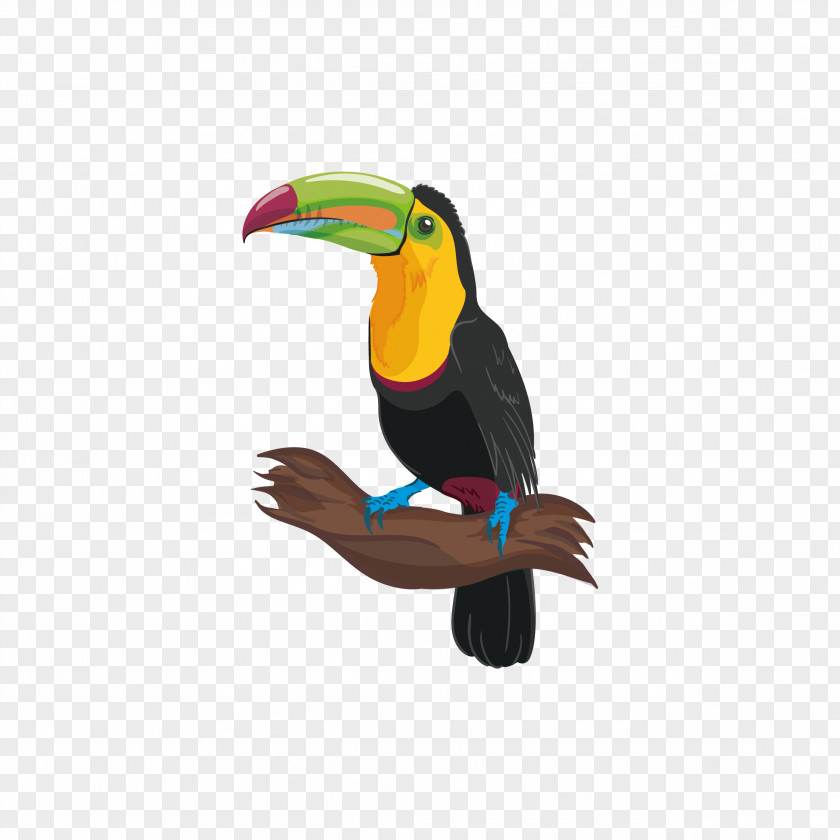 Parrot Bird Adobe Illustrator PNG