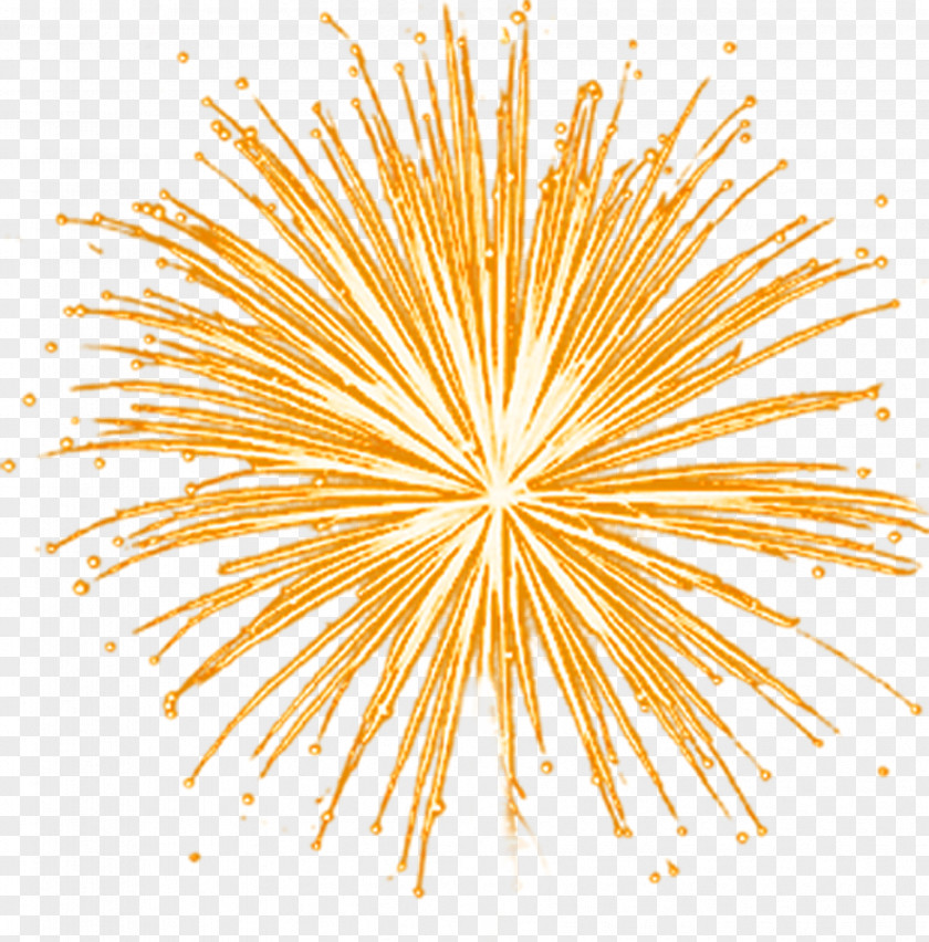 Fireworks Light Clip Art PNG