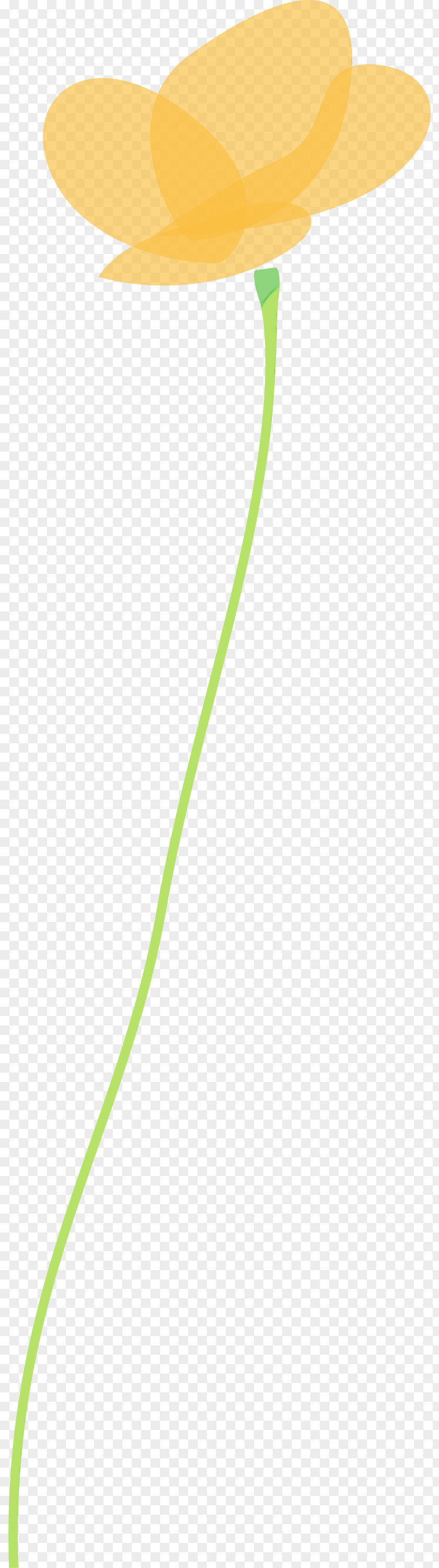 Green Leaf Line Plant Stem PNG