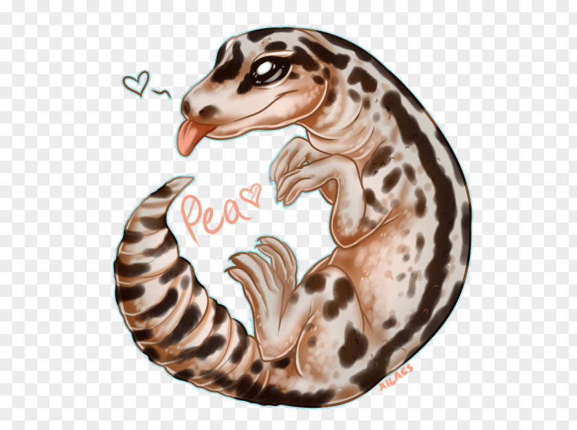 Leopard Gecko Terrestrial Animal Wildlife Carnivora PNG
