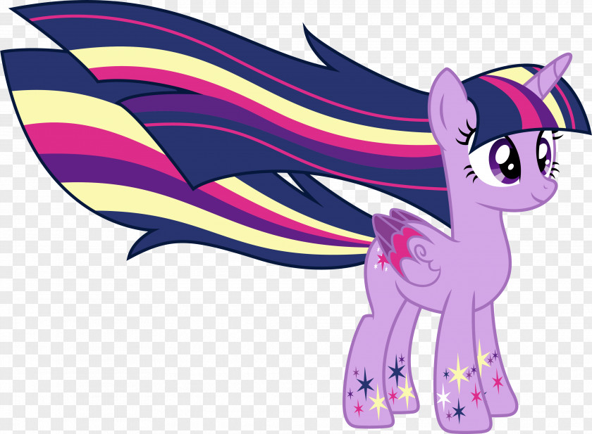 My Little Pony Twilight Sparkle Rainbow Dash Princess Celestia PNG