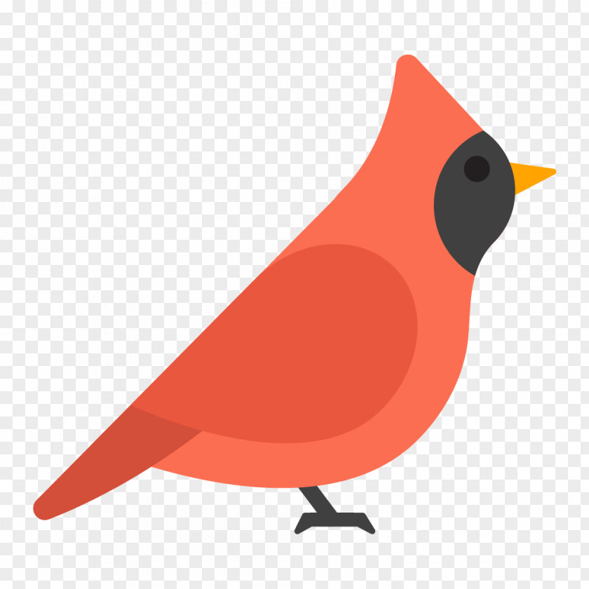 Old World Flycatcher Robin Cardinal Bird PNG