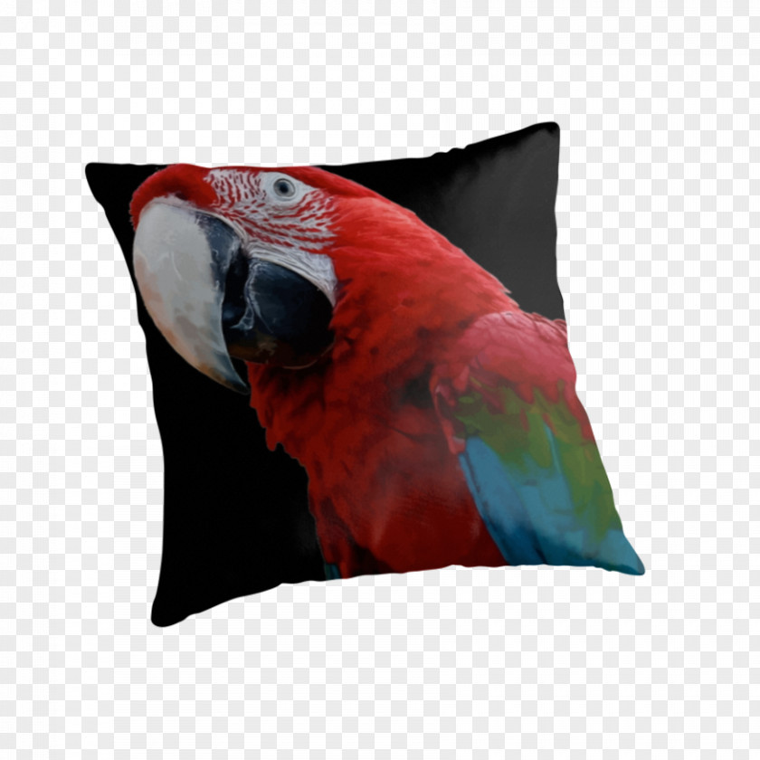 Pillow Cushion Throw Pillows Couch Bed PNG