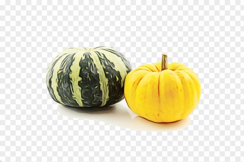 Superfood Acorn Squash Summer Field PNG