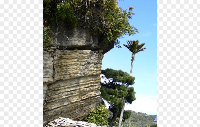 Tree Outcrop Escarpment Tourism Cliff M PNG