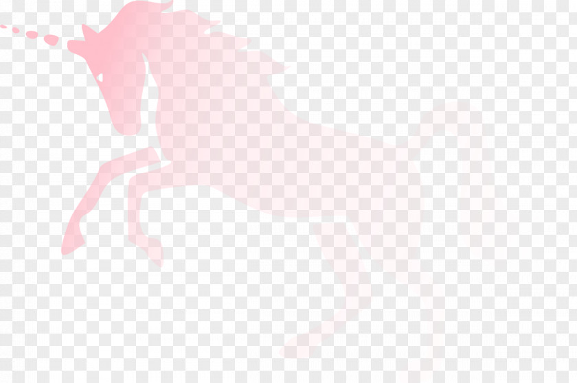 Unicorn Mustang Pony Mane Pink PNG