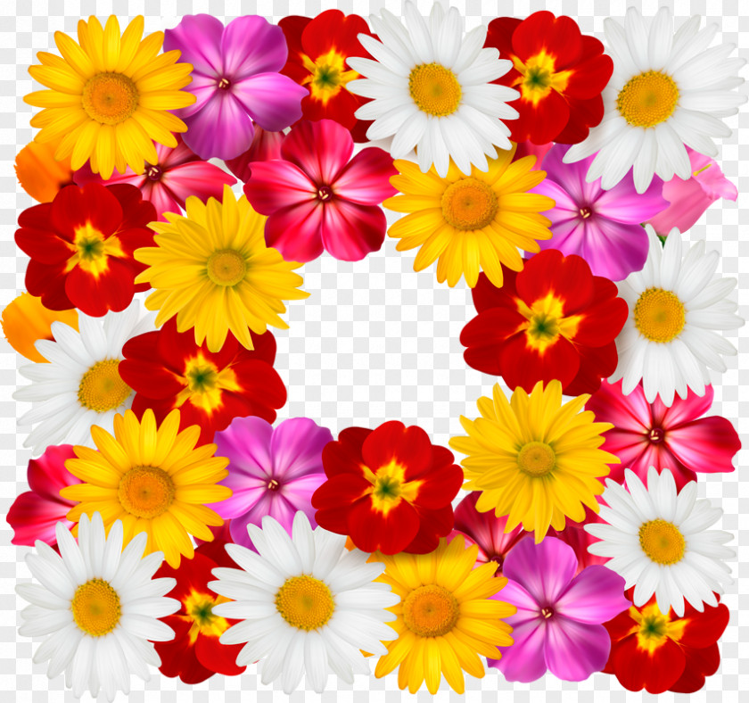 8 Different Vector Seamless Patterns Common Daisy Flower Chrysanthemum PNG