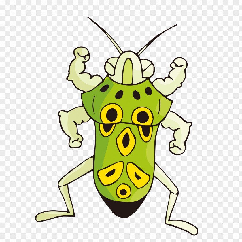 Cricket Insect Ant Image Cartoon Illustration PNG