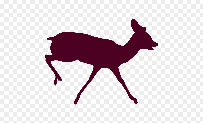 Deer Vector Reindeer Red Canidae Animal PNG