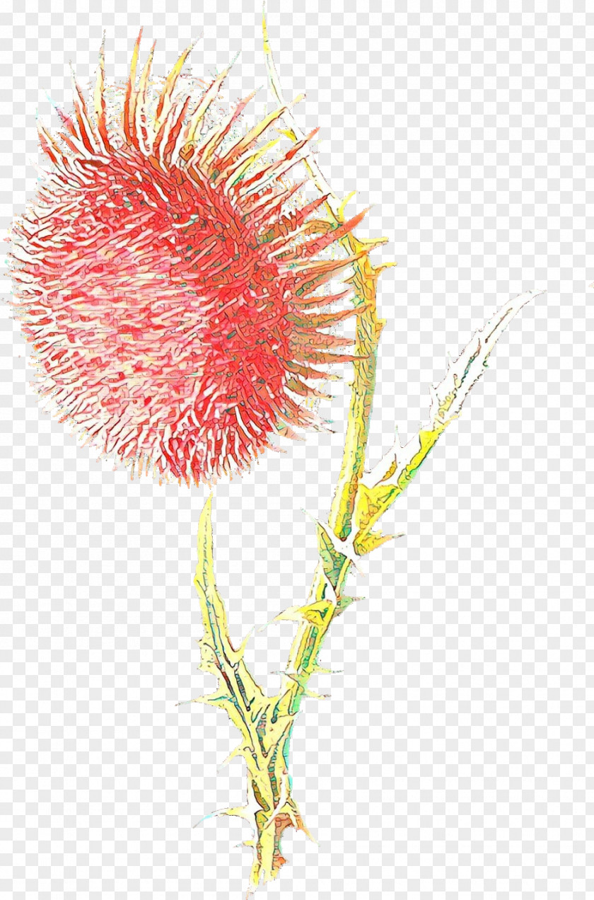 Flower Plant Thistle Thorns, Spines, And Prickles PNG
