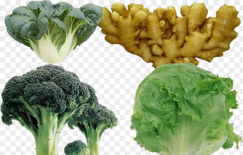 Ginger Broccoli Cauliflower Cabbage Vegetarian Cuisine Spring Greens PNG