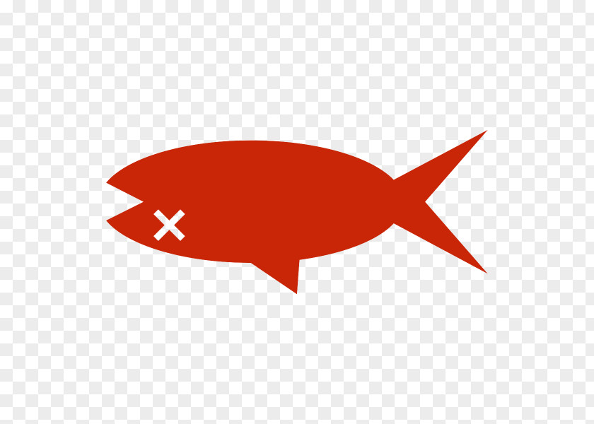 Logo Fin Fish Cartoon PNG