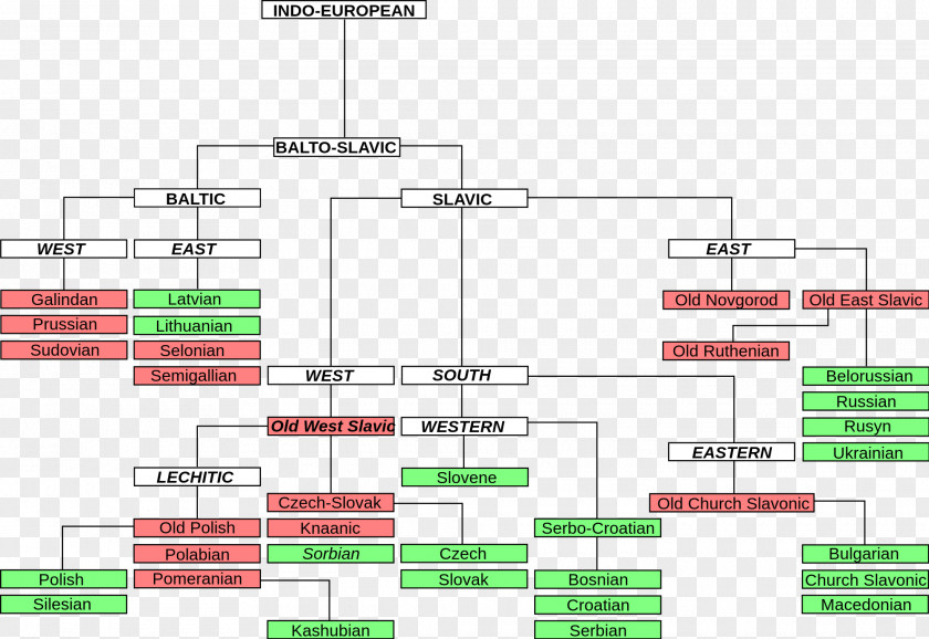 Tree Timeline Balto-Slavic Languages Indo-European Baltic Czech PNG