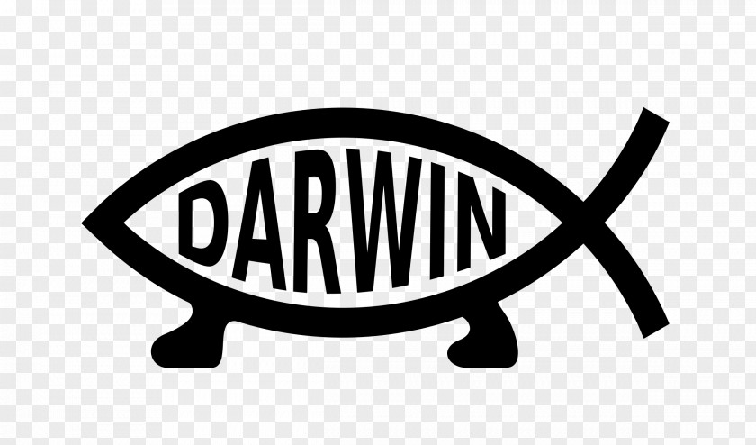 Car Decal Bumper Sticker Darwin-Fisch Ichthys PNG