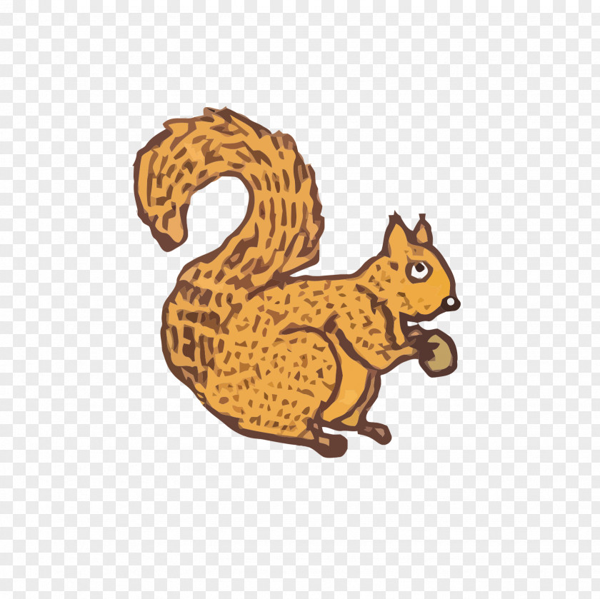 Cat Poland Drawing Squirrel PNG