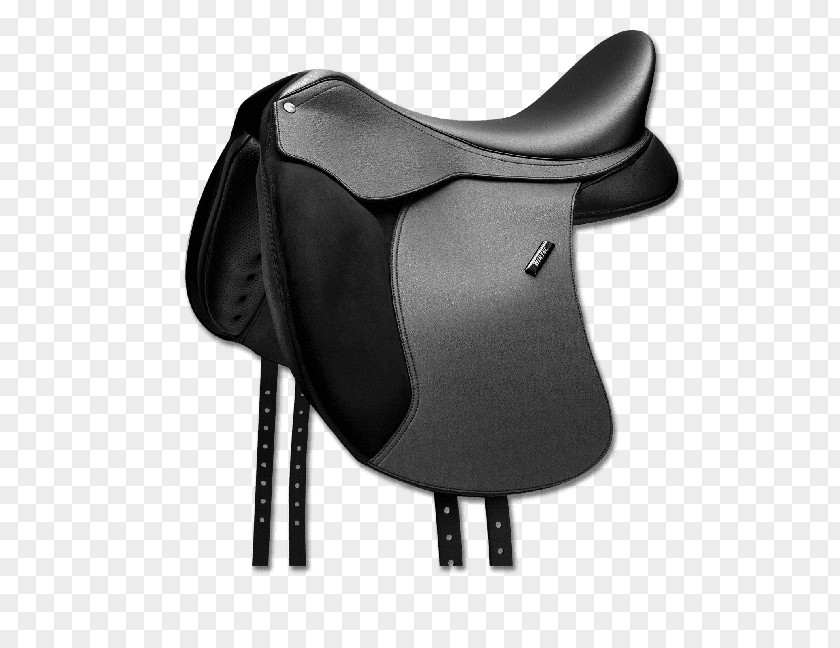 Dressage Arena Saddle Horse Tack Equestrian Pony PNG