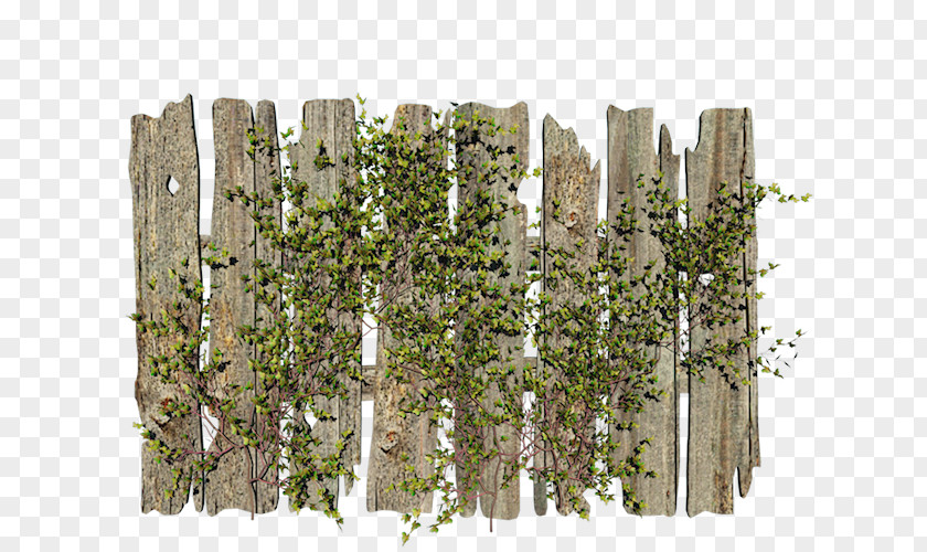 Fence Pickets Clip Art Gate PNG