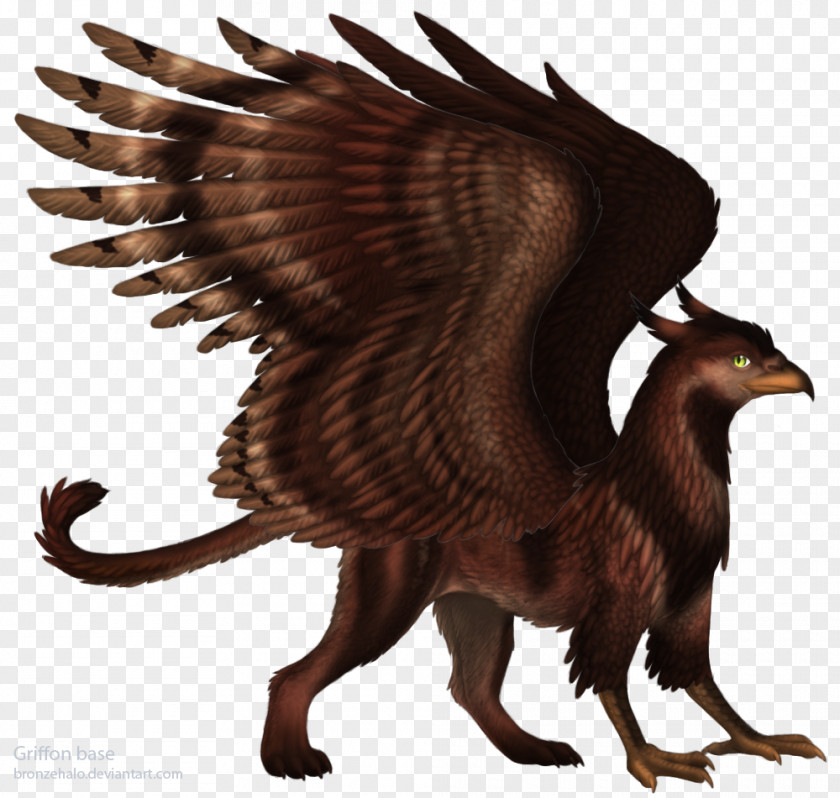 Griffin Eagle Fantasy Dragon Legendary Creature PNG