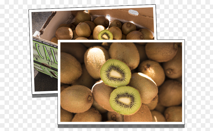 Kiwi Slice Kiwifruit Natural Foods Superfood Local Food PNG