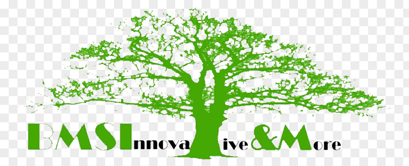 Launching Soon Logo Green Leaf Plant Stem Font PNG
