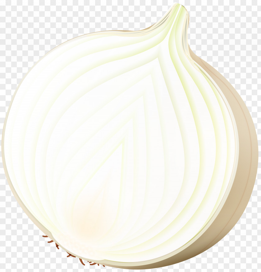 Onion Clip Art Image Product Design PNG