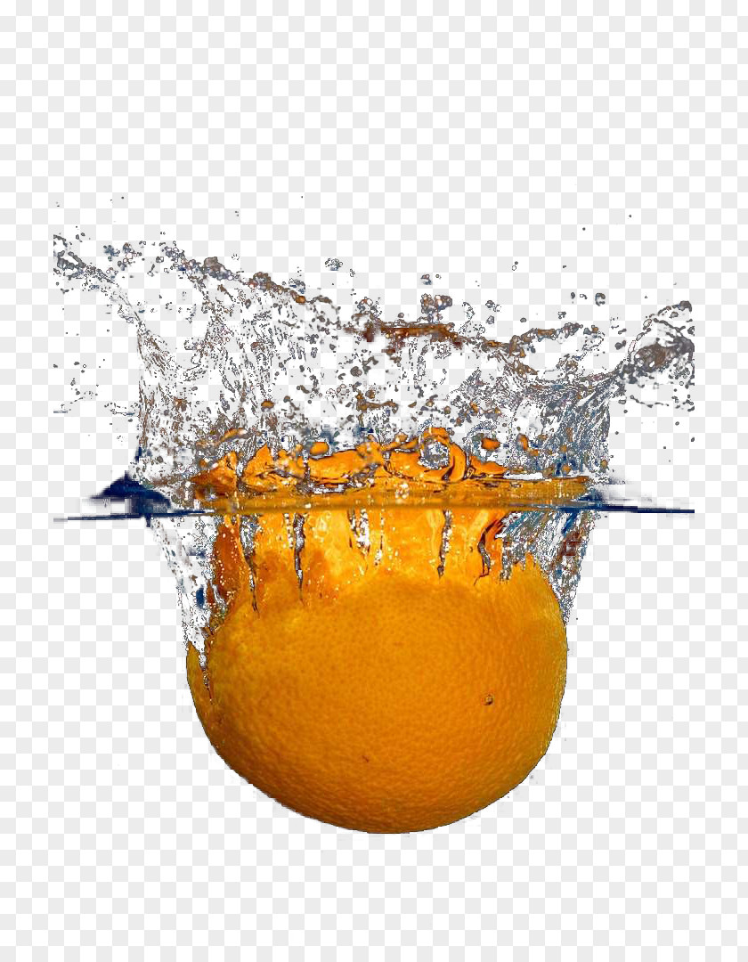 Oranges Into The Water Orange Download Icon PNG