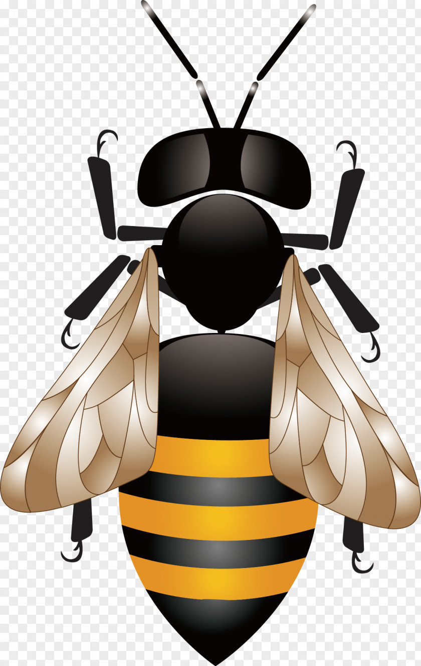 Bee Vector Honey Honeycomb Beehive PNG