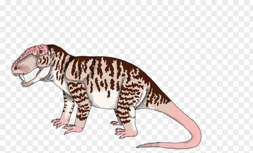 Tiger Therapsid Anteosauridae Doliosauriscus Cat PNG