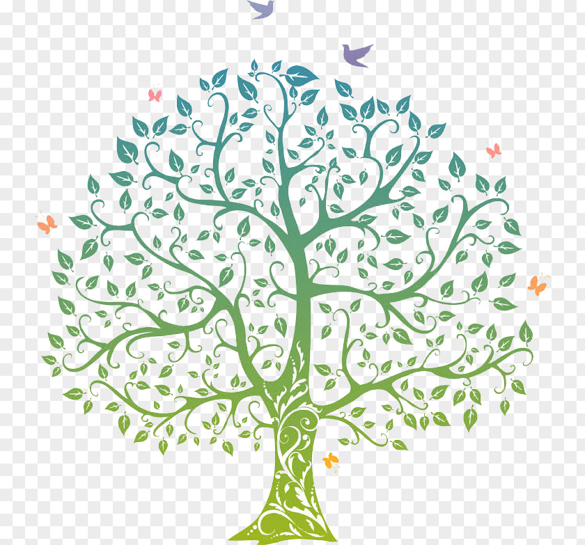 Tree, Birds Tree Of Life Drawing PNG