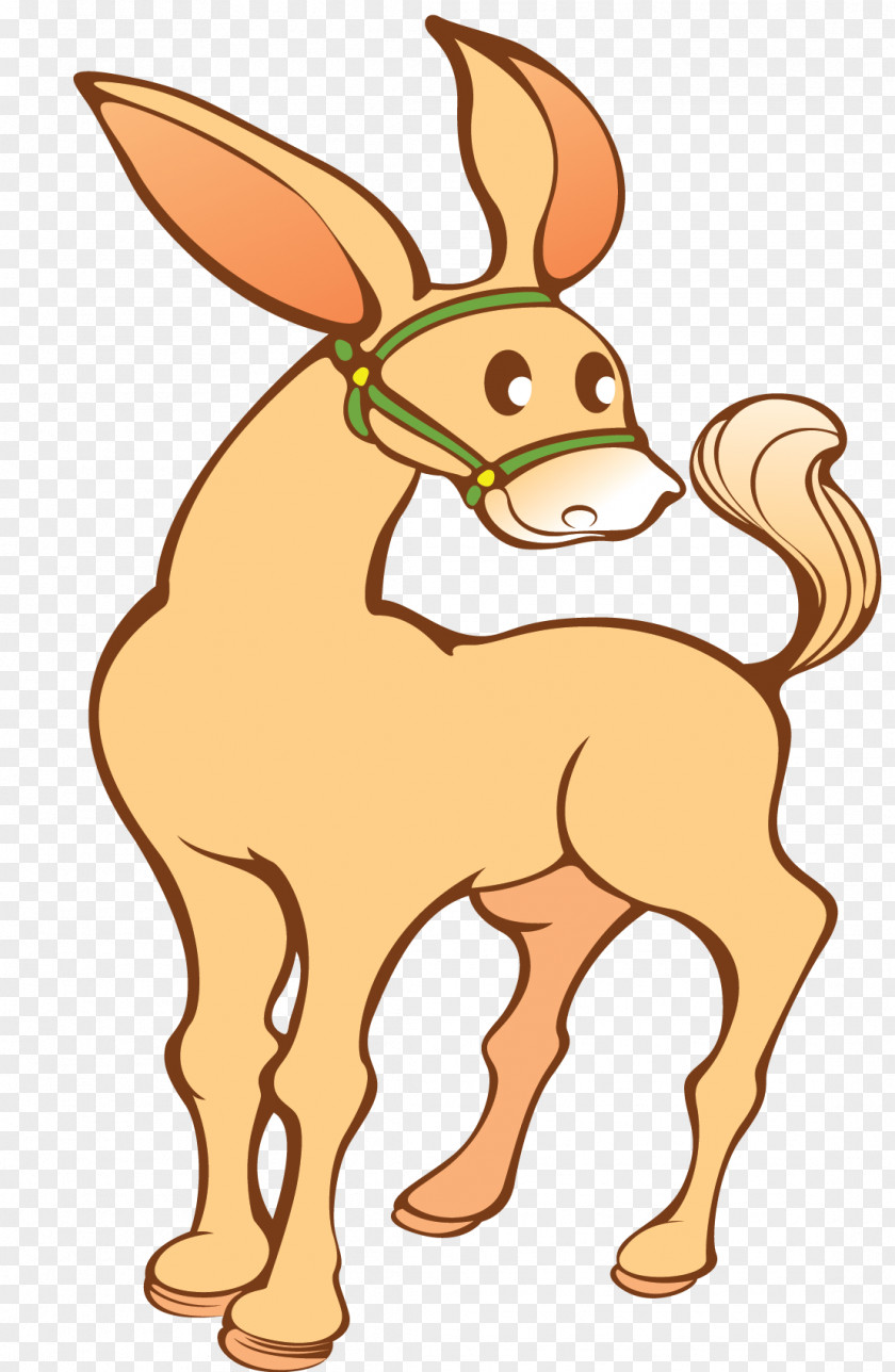 Cute Donkey Vector Horse Mule Cartoon Clip Art PNG