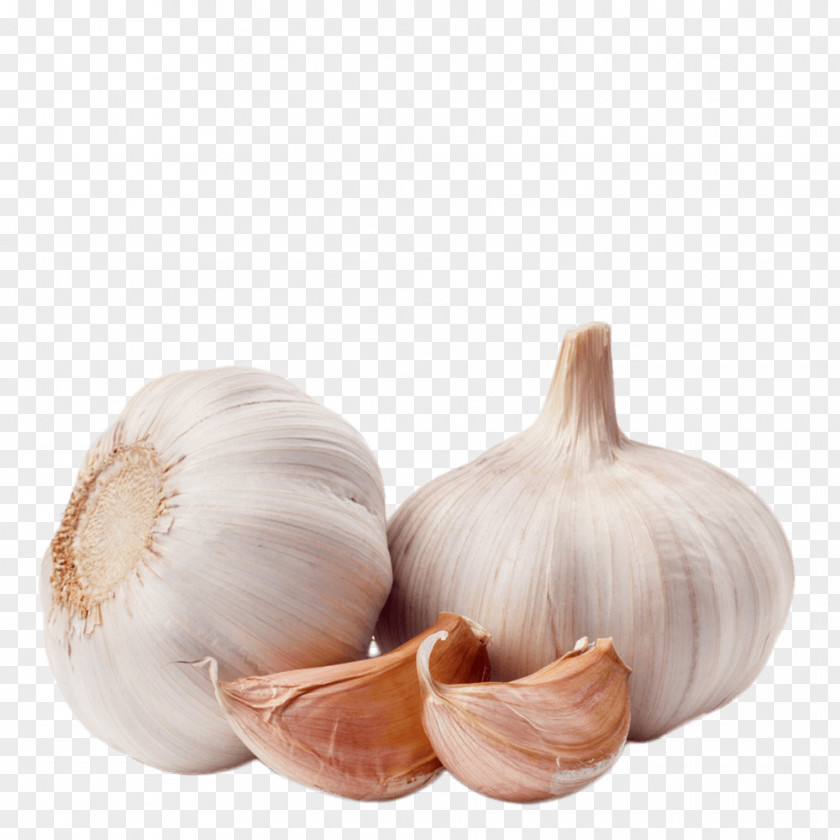 Garlic Vinaigrette Clip Art PNG