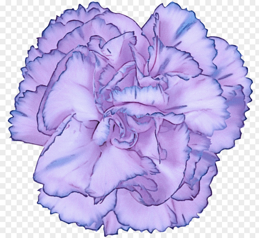 Lavender PNG